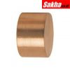 Thor THO5290171N 25mm dia. Soft Copper Spare Face