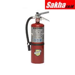 BUCKEYE 10914 Fire Extinguisher