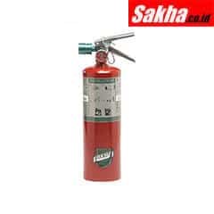 BUCKEYE 70510 Fire Extinguisher