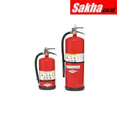 AMEREX 594 Fire Extinguisher