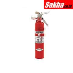 AMEREX B385TS Fire Extinguisher