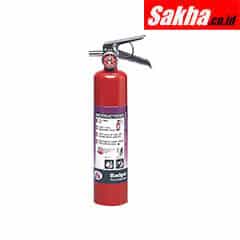 BADGER B250P Fire Extinguisher