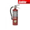 BUCKEYE 25614 Fire Extinguisher